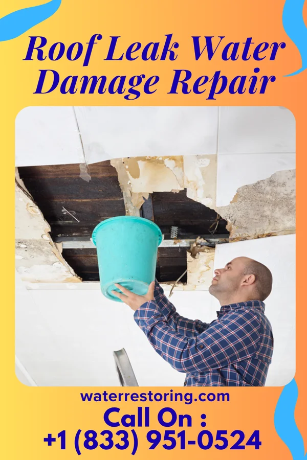 Roof Leak Water Damage Repair in New Harmony, UT