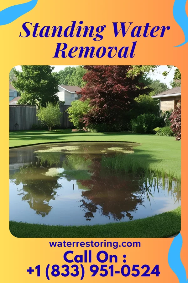Standing Water Removal in New Harmony, UT